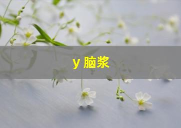 y 脑浆